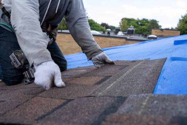 Gutter Installation and Roofing in Trafalgar, IN