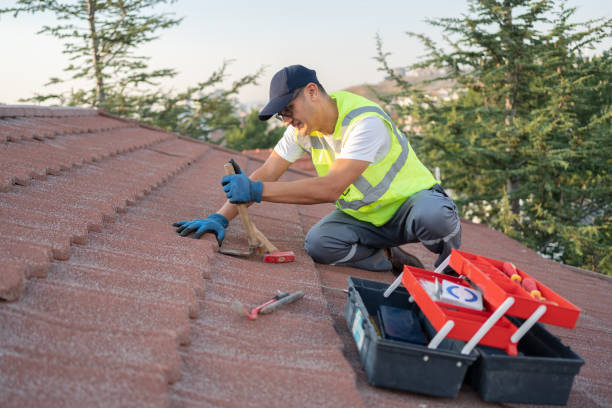 Best Storm Damage Roof Repair  in Trafalgar, IN
