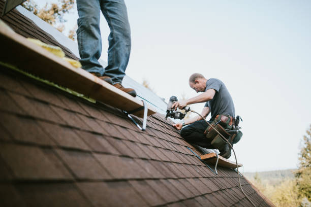 Best Roof Leak Repair  in Trafalgar, IN
